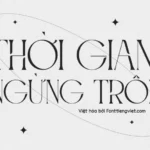 Font Việt hóa 1FTV Roashe