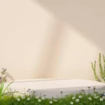 Natural beauty podium 3d realistic rendering podium