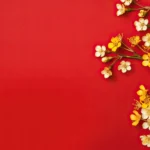 Beautiful yellow flower blossoms red pastel background with copy space