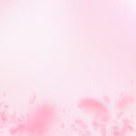 Sakura petals falling down. Romantic pink flowers gradient. Flying petals on pink square background. Love, romance concept. Breathtaking wedding invitation.