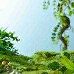 Stage material model nature product 3d rendering