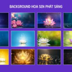 Background hoa sen phát sáng