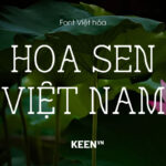 Font tiếng Việt Hoa Sen Typeface