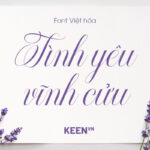 Font Việt hóa DFVN Radja Lover Script