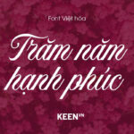 Font Việt hóa NVN Neography