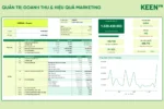 [GS-BUS-006] Quản trị và Báo cáo Doanh thu bán hàng & Hiệu quả Marketing đa kênh (TMĐT) 1